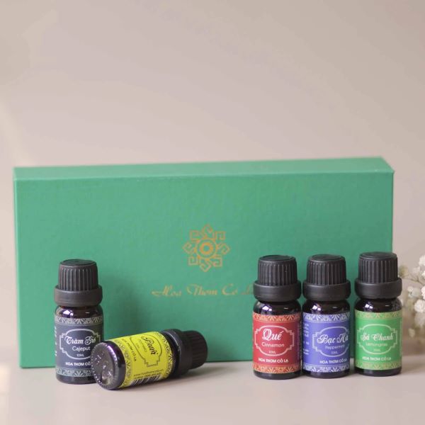 Mẫu thiết kế hộp đựng tinh dầu bằng bìa carton tối giản