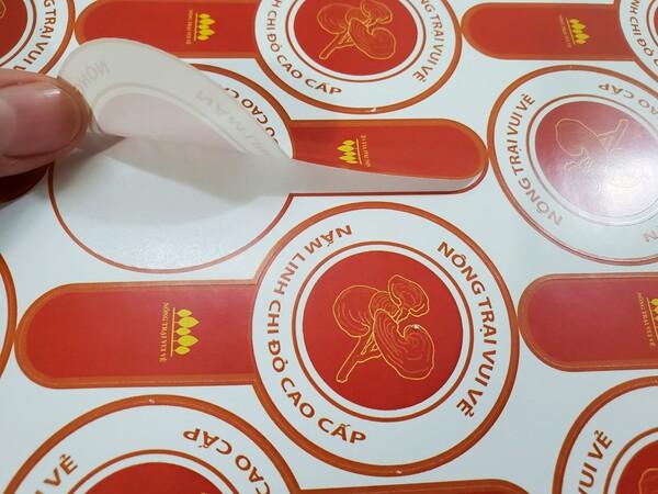 Dịch vụ in decal logo cao cấp, bền đẹp tại In Nhanh Nhanh