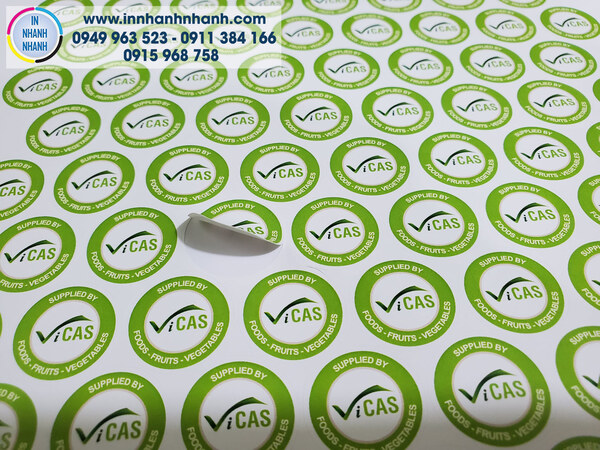 Một số mẫu logo dán đẹp, ấn tượng nhất năm 2025