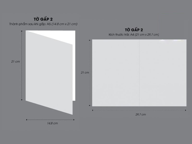 Kích thước phổ biến của tờ gấp 2