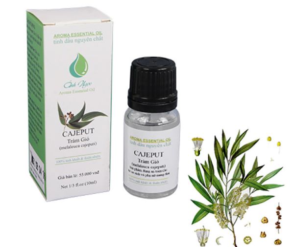 Mẫu hộp giấy đựng tinh dầu được sử dụng phổ biến hiện nay