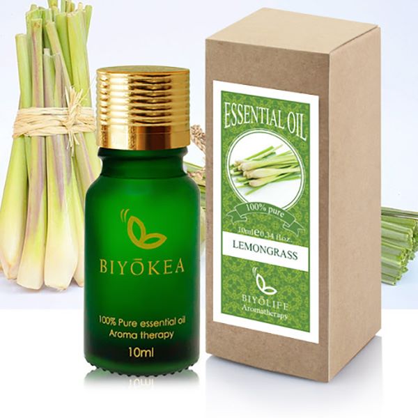 Mẫu hộp đựng tinh dầu bằng giấy Couche