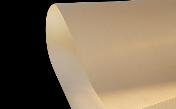 Giấy Modi Dore in name card ấn tượng (Ảnh: Internet)