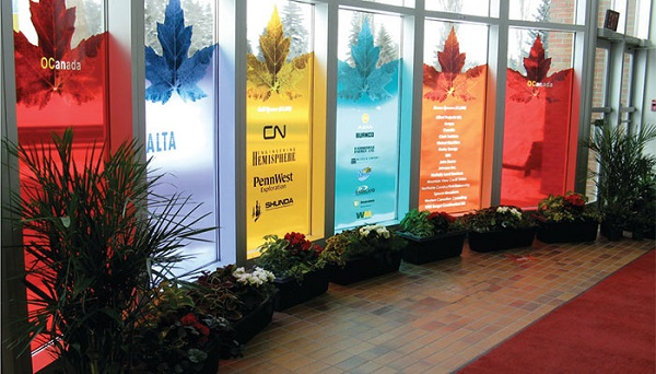 Mẫu decal dán kính màu độc đáo