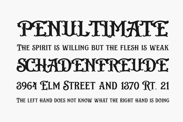 Font chữ Bistern tạo cảm giác chuyên nghiệp và đẳng cấp cho poster