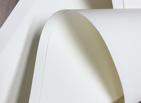 Giấy Ford (Ảnh: Internet)