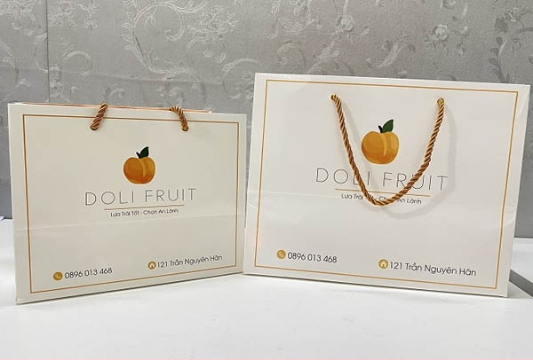 Thiết kế túi giấy dùng đựng hoa quả với màu tươi sáng, đậm hình ảnh thương hiệu