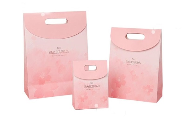 Mẫu túi giấy có nắp đậy sang trọng