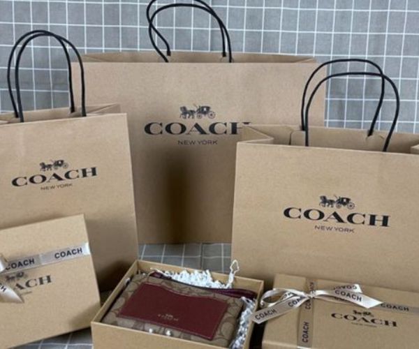 Kích thước nhỏ - trung bình - lớn của túi giấy Coach