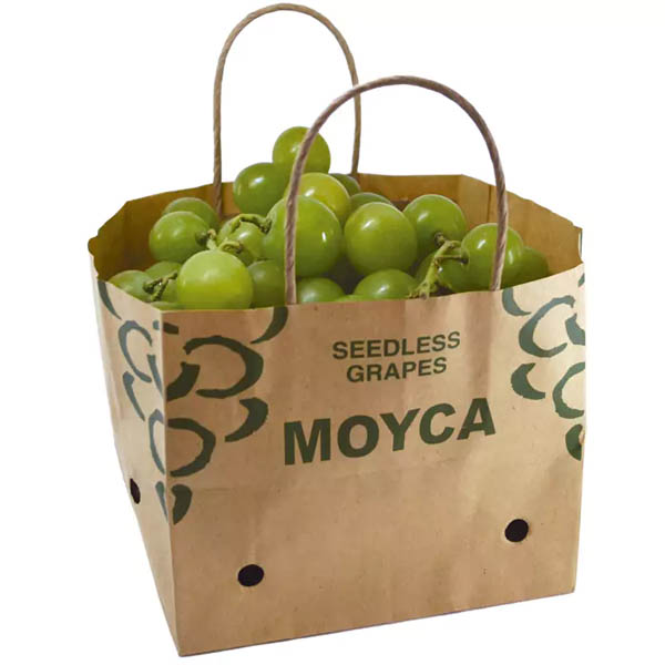 Túi giấy kraft đựng hoa quả tươi với in chữ và họa tiết xanh lục