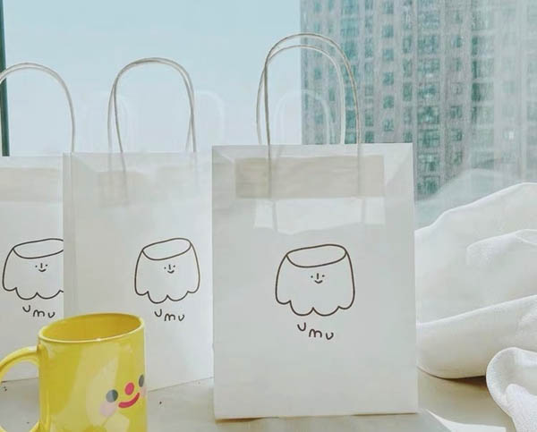 Túi kraft trắng quai giấy in họa tiết dễ thương