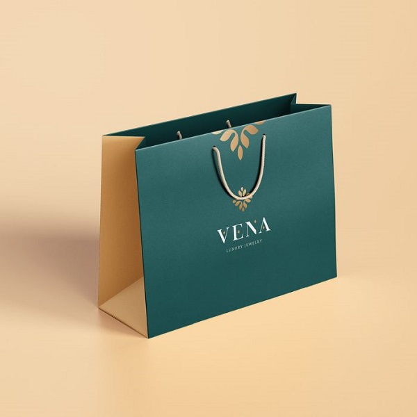 Mẫu túi giấy Couche