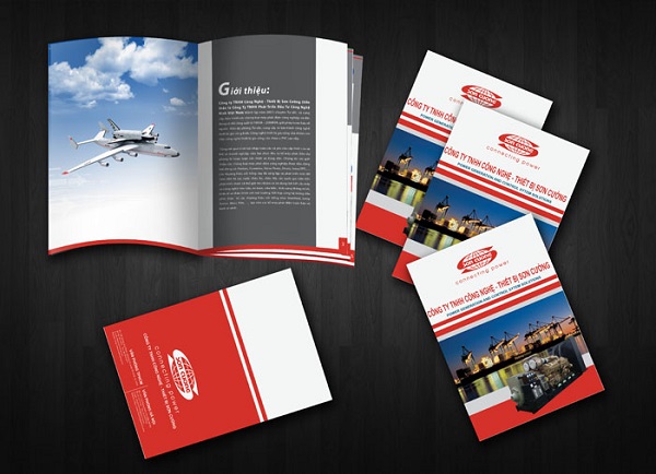 Mẫu catalogue giới thiệu công ty nổi bật
