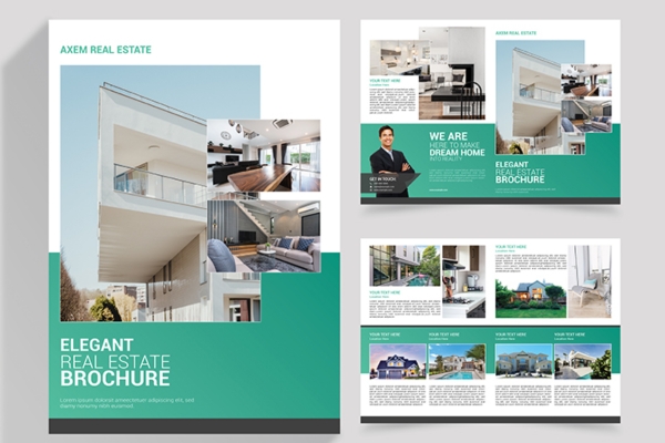 Màu sắc của dự án