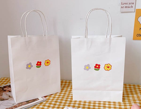 Túi giấy kraft trắng quai giấy in hình hoa