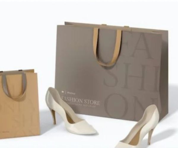 Mẫu túi giấy đựng giày cao cấp