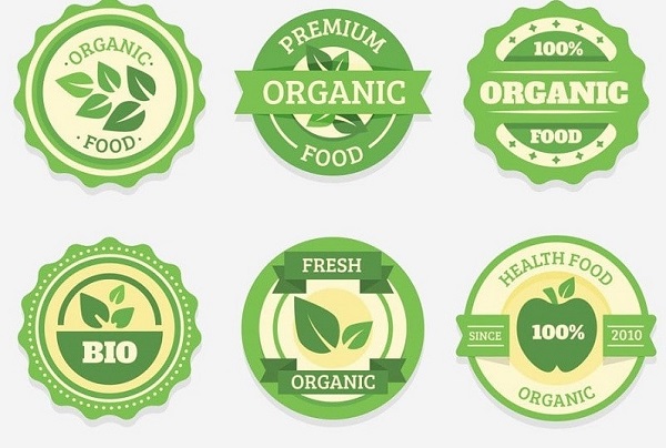 Mẫu logo đẹp, màu sắc sang trọng