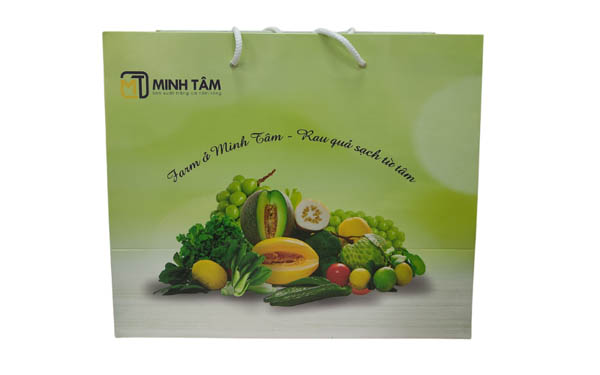 Mẫu túi giấy màu xanh tươi mát đựng hoa quả sạch