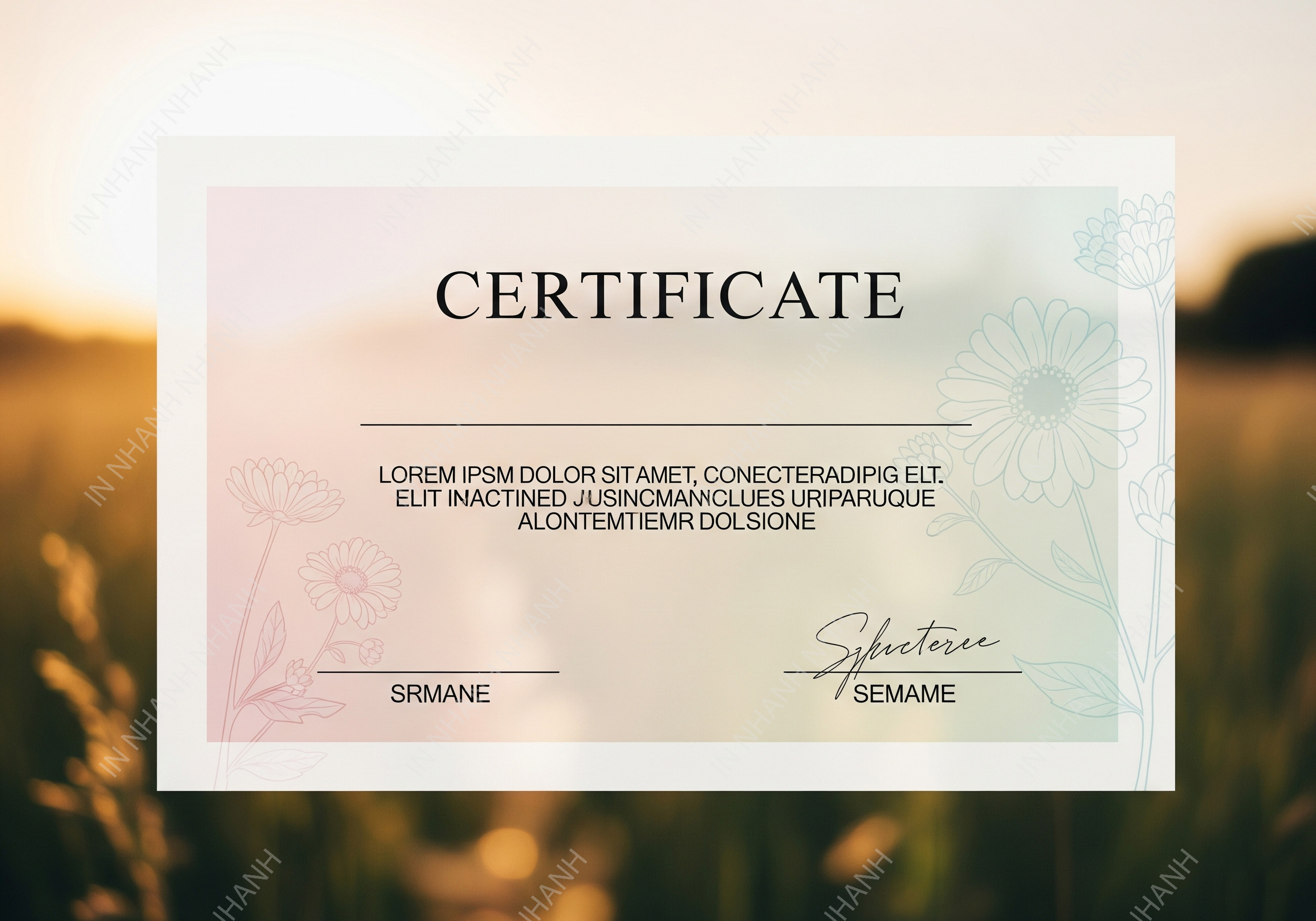 giấy chứng nhận 03